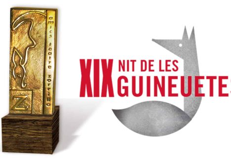 NIT GUINEUETES